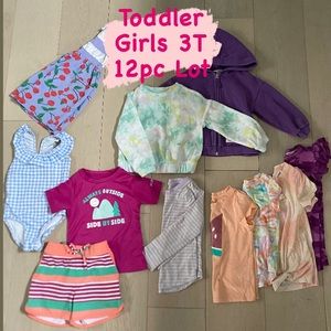 Toddler Girls 12 Piece Lot: 3T